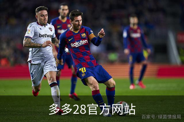 多多28官方网站公司介绍图